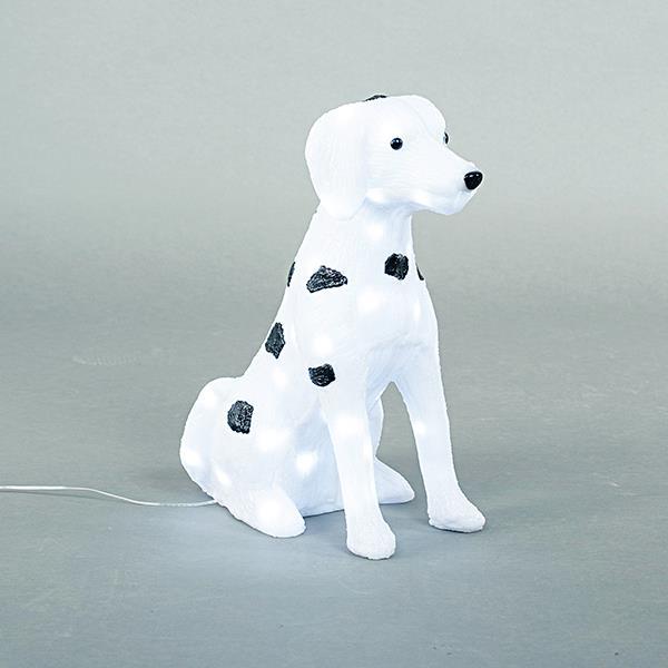 213aa5bcd2ab4c089a33fbb7c1657dc0