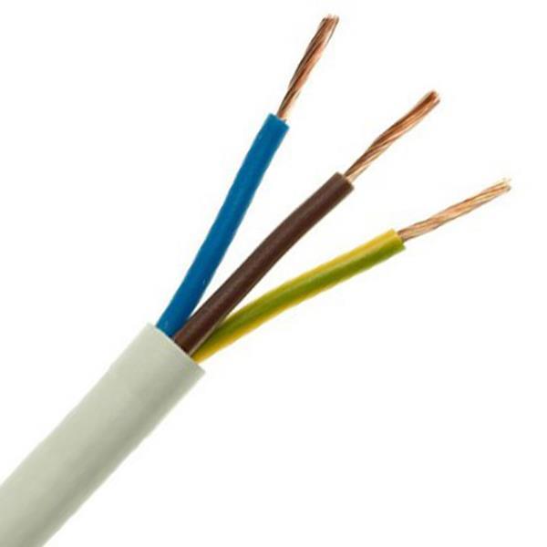 9b0fed19b1064cd7ac8f4ec2a6e5b19d