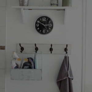 ΟΙΚΙΑΚΑ ΕΙΔΗ & ΠΡΟΣΤΑΣΙΑ