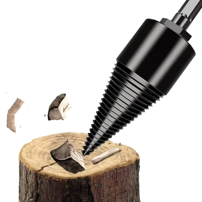 NZ19-1