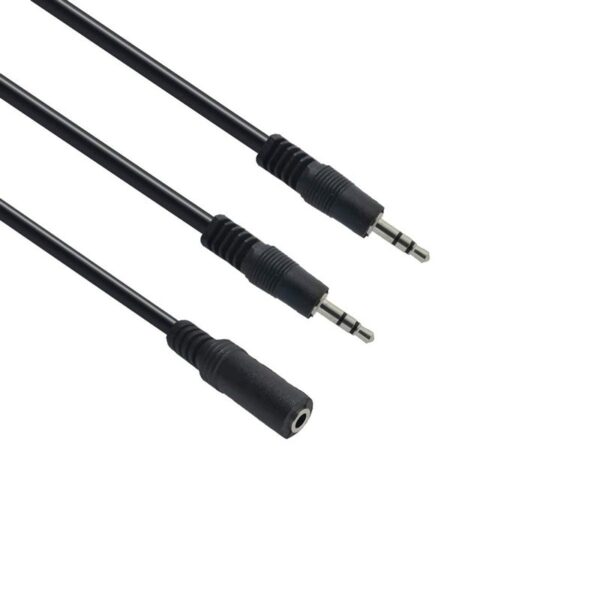 aux-2male1-female-aux-5