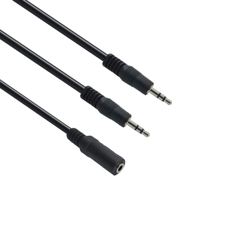 aux-2male1-female-aux-5