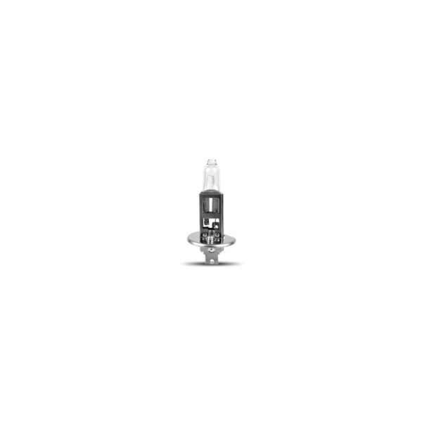 rchang-h1-12v-w0010-2