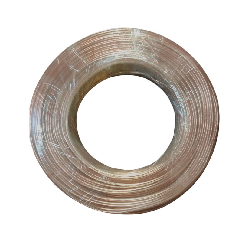 100-my-04866