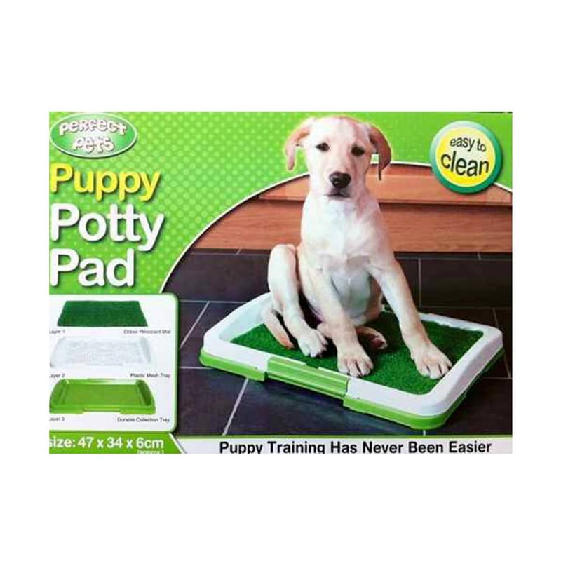 244072777_1248786878957354_4010845697737892387_n