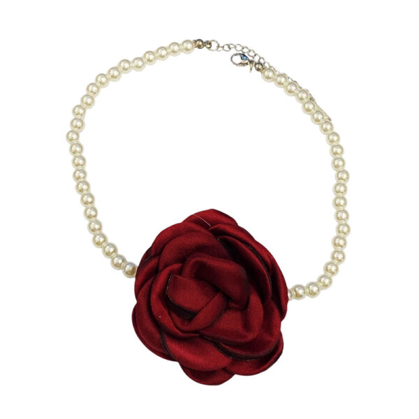 462548727_871868535013121_4696418548930453492_n