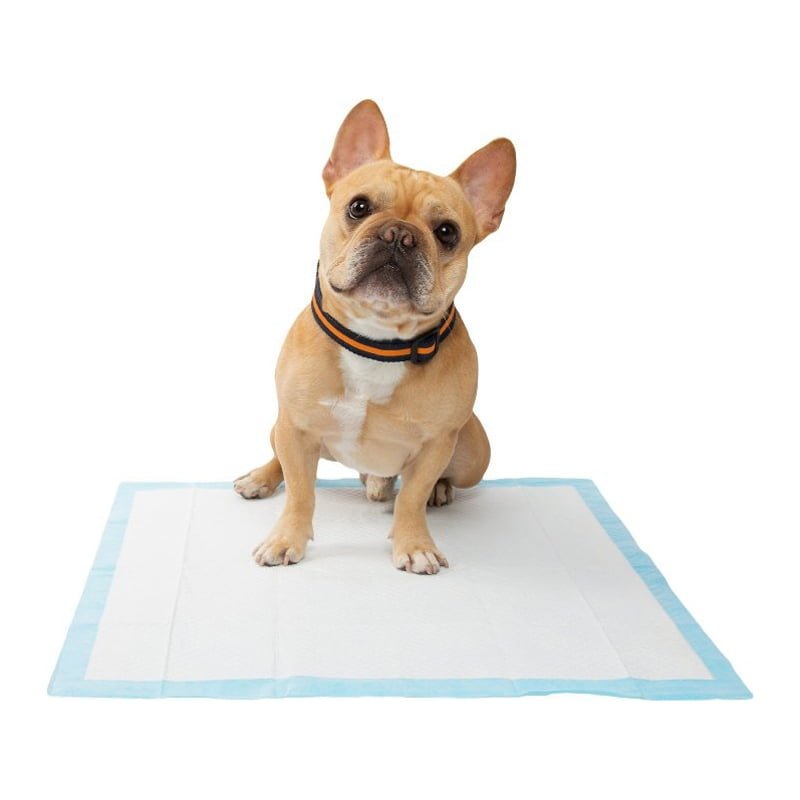 training_pads_60x60___2_ki9w-8f