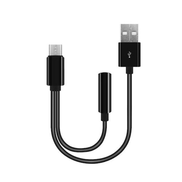 xlarge_20210202145522_usb_c_male
