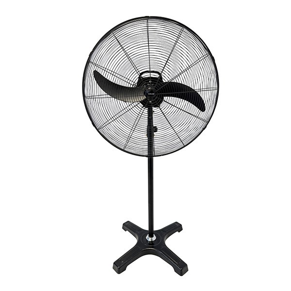 0ed6d3cf731e4e258578c9fe32070019