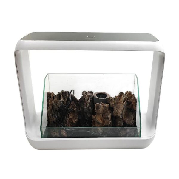 terrarium-zwd-1