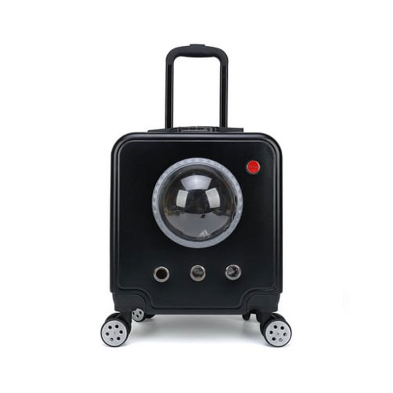 zxq-05131