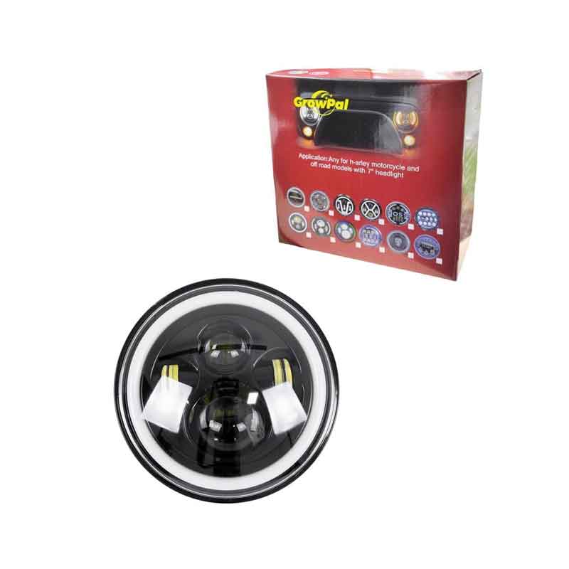 Z696619-6