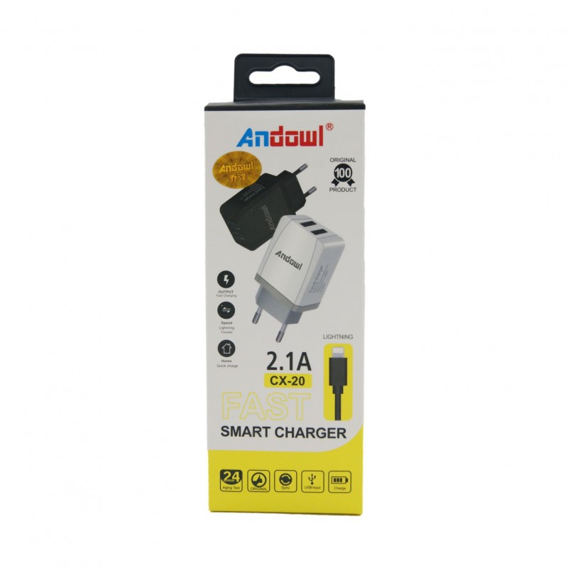 micro-usb-2-21a-andowl-cx-20