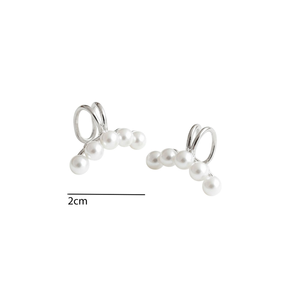 A3036-silversize