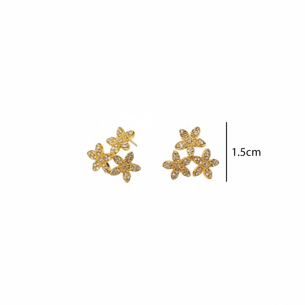 A57006-size