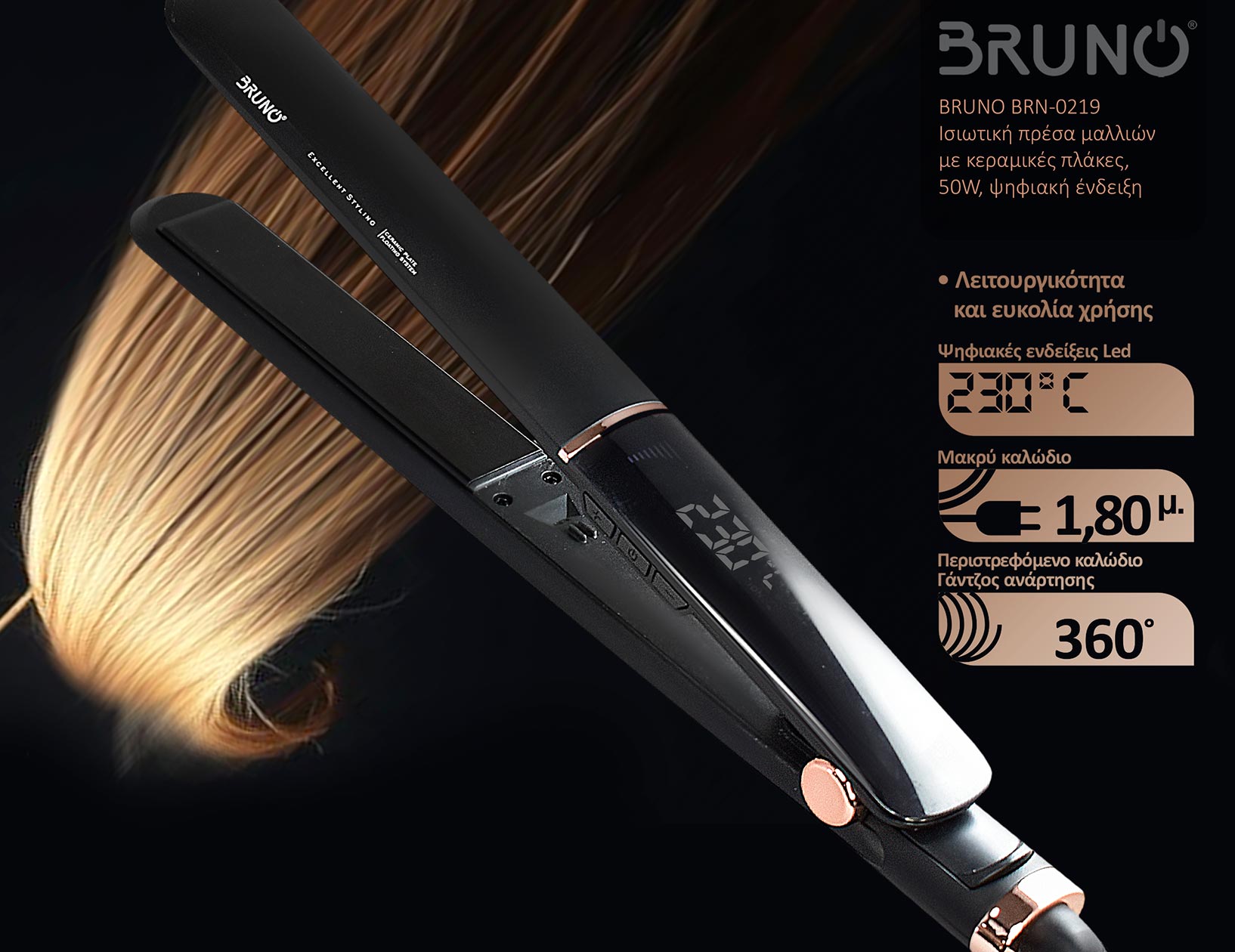 BRN-0219-3