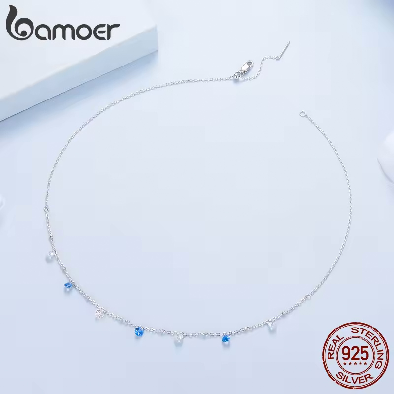 BSN428-2