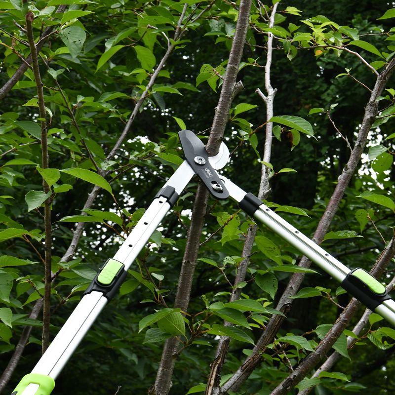 DL580423-2