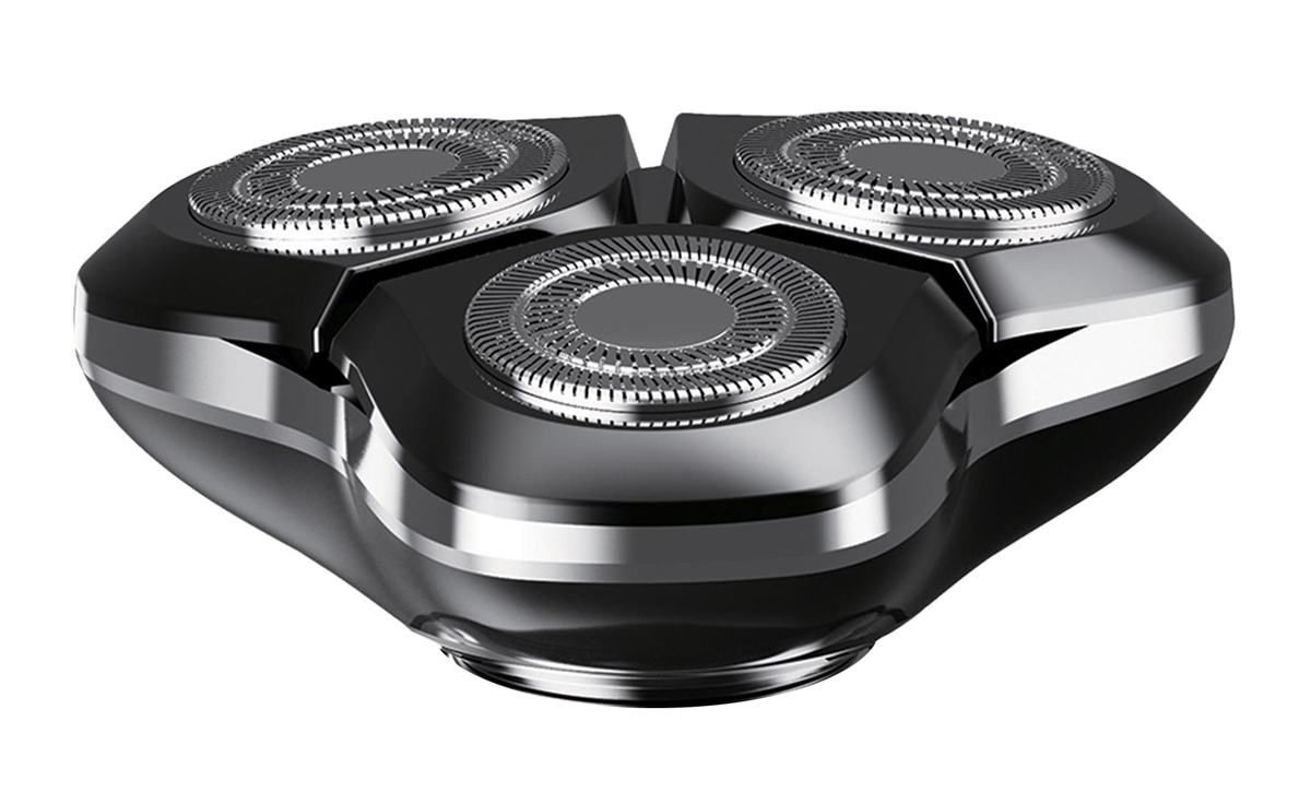 SP-BRN-0223-1