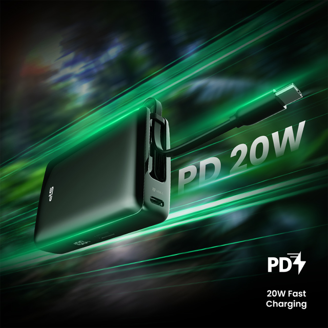 SP10KMAPBKCP101K-2