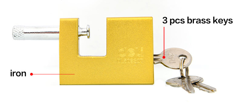 DL508307-1