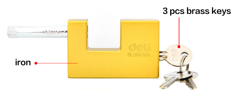 DL508308-1
