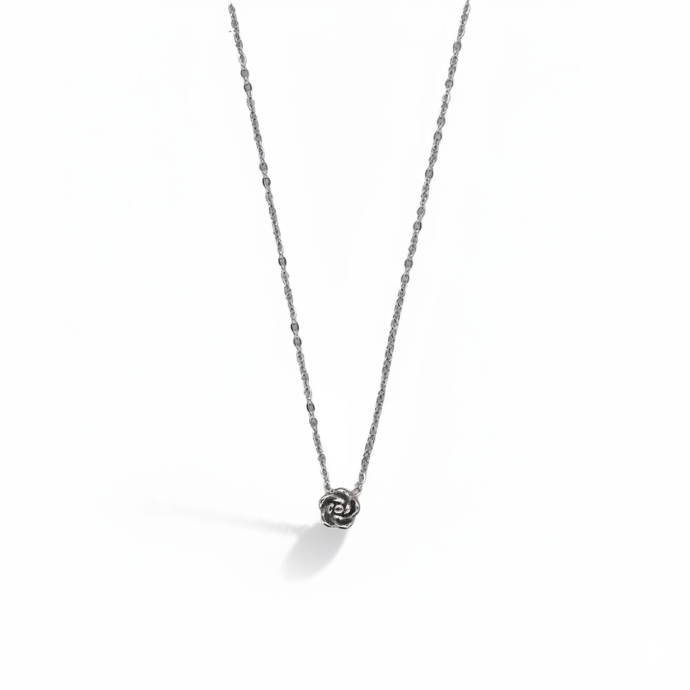 B3010-silver