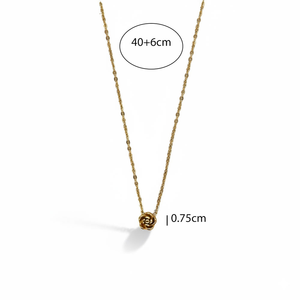 B3010-size