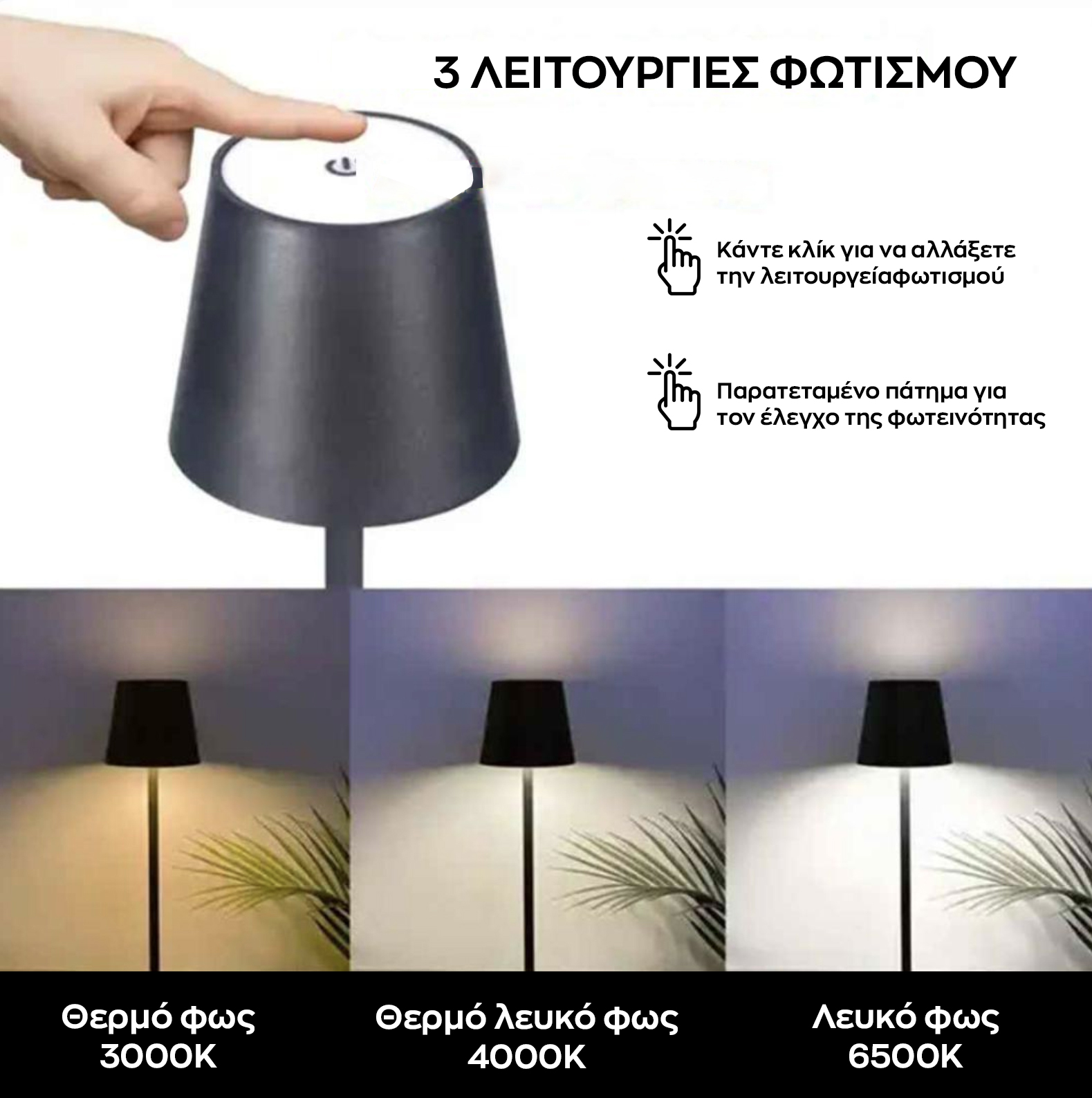 5206753049500_6