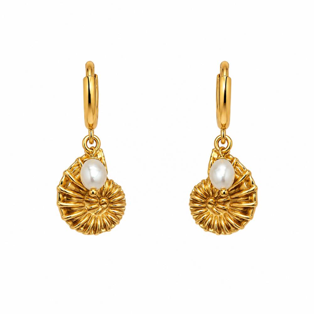 gold-steel-shell-pearl-main